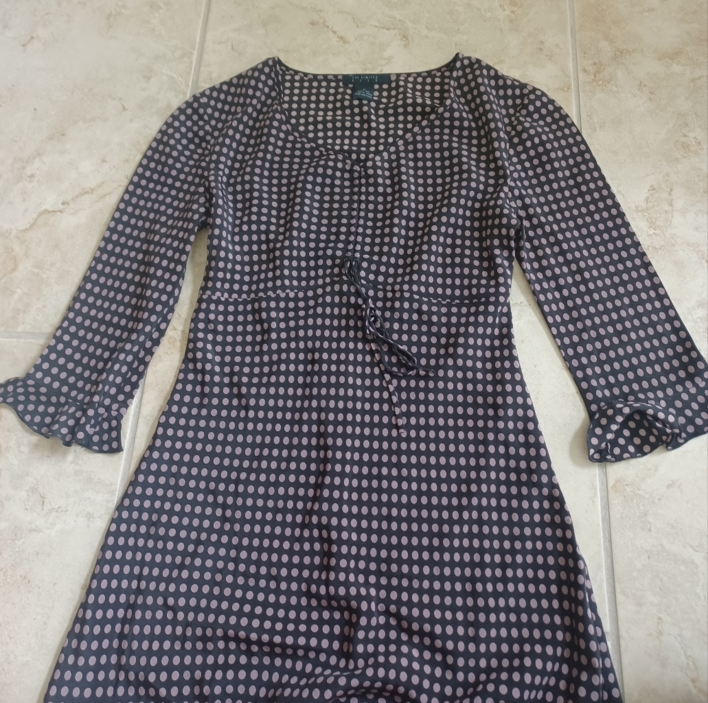 THE LIMITED Silk polka dot dress!